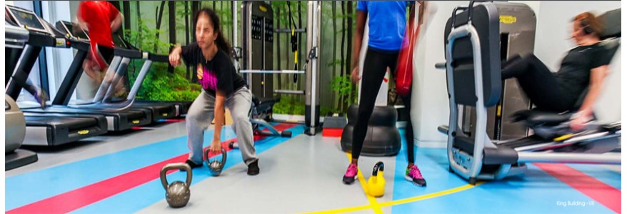 PVC Taraflex Surface